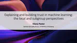 Explaining and building trust in machine learning: the local and subgroup perspectives